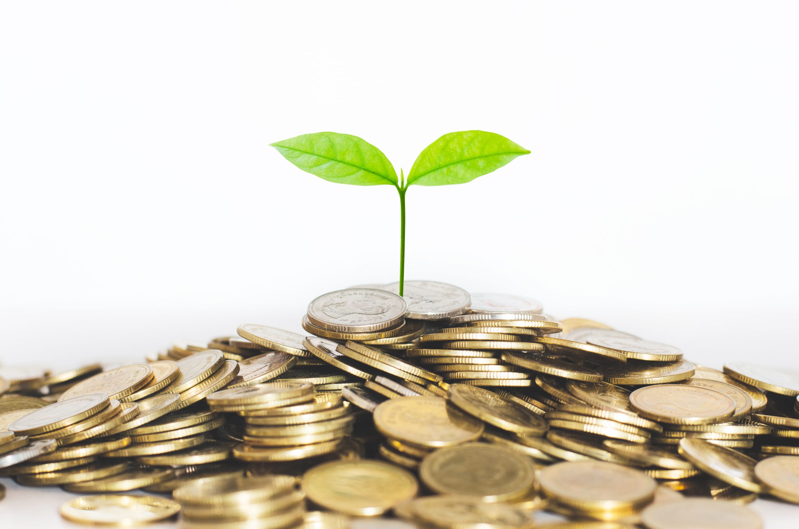 green-seed-growth-on-coins-stack-with-white-background-money-saving-business-investment-successful-growing-concept